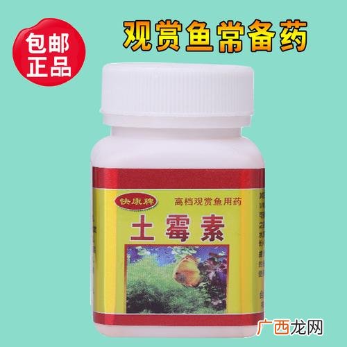鱼病防治 水产鱼病治疗药物