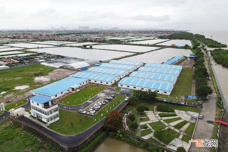 广州最大水产公司 广州水产科技集团