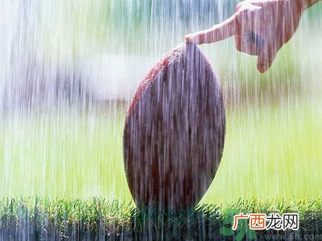 湿气重的症状?怎么去除体内的湿气?