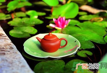 降血脂的茶有哪些？什么茶可以降血脂？