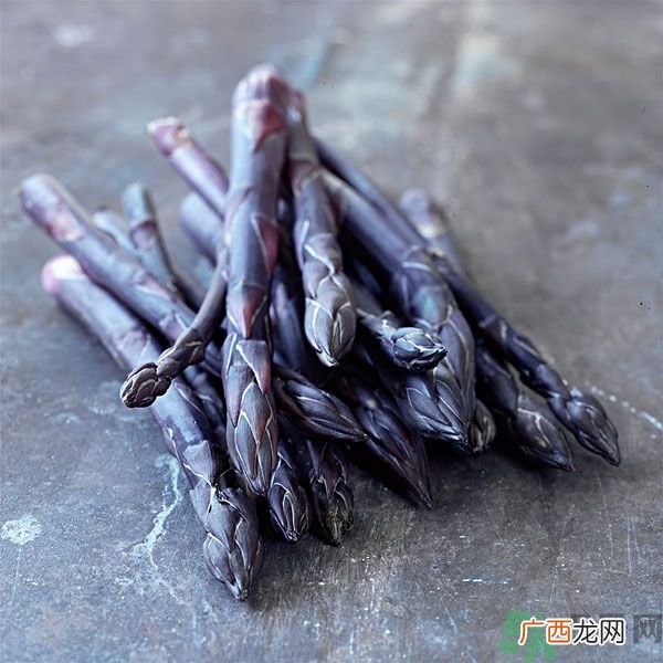 紫芦笋是转基因吗？紫芦笋和绿芦笋哪个好？