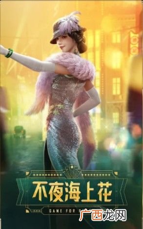 和平精英ss10手册豪华版性价比分析值得买吗