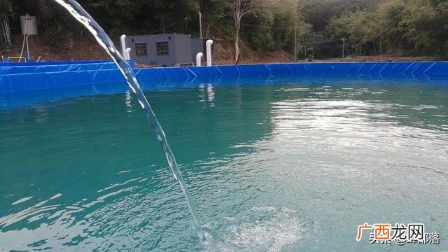 农村乡下没人注意的暴利行业,农村十大暴利养殖