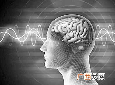 左脑控制什么中枢神经？开发右脑的十种方法