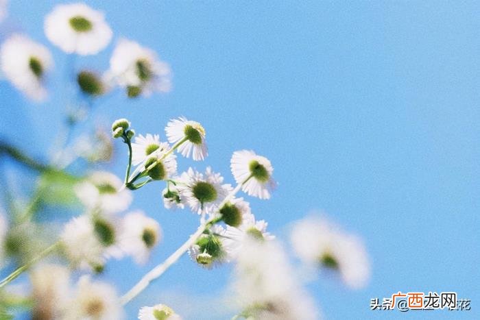 如何让射手座欲罢不能，想要俘获射手座的真心