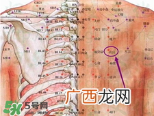 膏肓的准确位置图膏肓穴痛跟什么有关