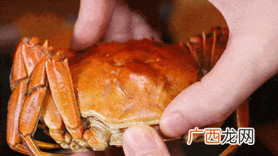 卖水产什么时候是旺季 水产价格低迷原因