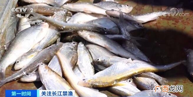 水产前沿官网报价 3年的水产价格多少