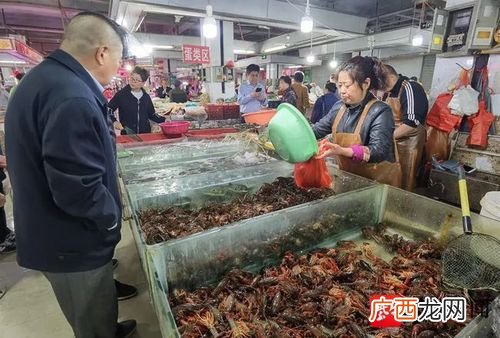 海龙虾多少钱一斤 18年水产龙虾价格