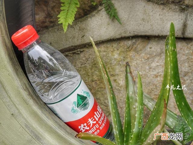 550毫升的水是多少斤 矿泉水一箱多少瓶农夫