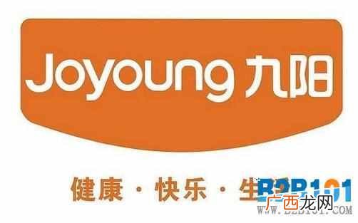 304烧水壶品牌推荐 什么电水壶好用又安全