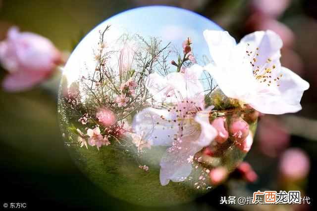 淘宝美工是做什么工作的？淘宝美工工资一般多