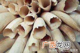 象牙有什么用途?象牙贵的原因就在这