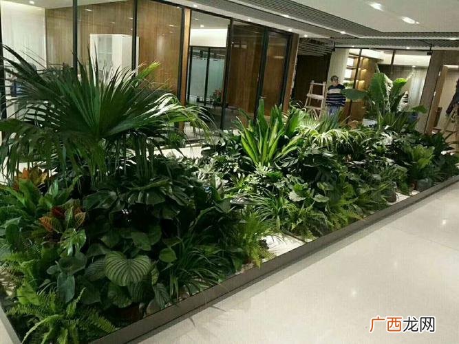 北京绿苑花卉市场地址 北京租花卉