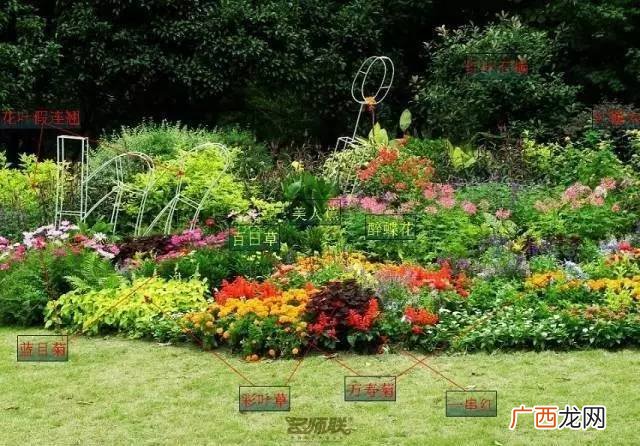 苗木栽植步骤 冬季苗木花卉怎么种植
