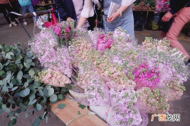 我国花卉产业发展现状 花卉产业新闻