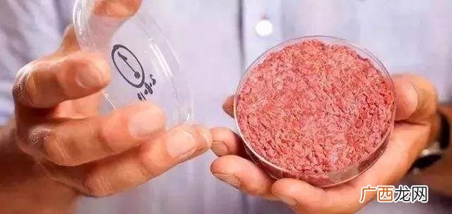 豆腐做素肉,做素肉机器