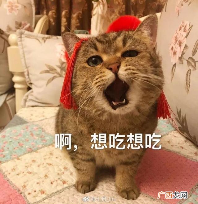 豆腐做素肉,做素肉机器