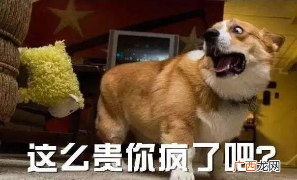 豆腐做素肉,做素肉机器