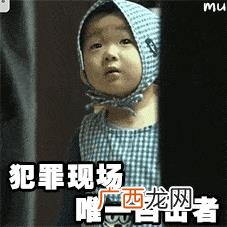 豆腐做素肉,做素肉机器