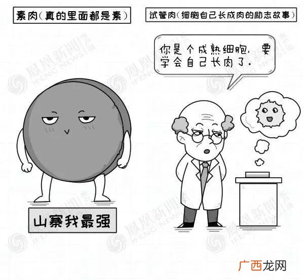 豆腐做素肉,做素肉机器