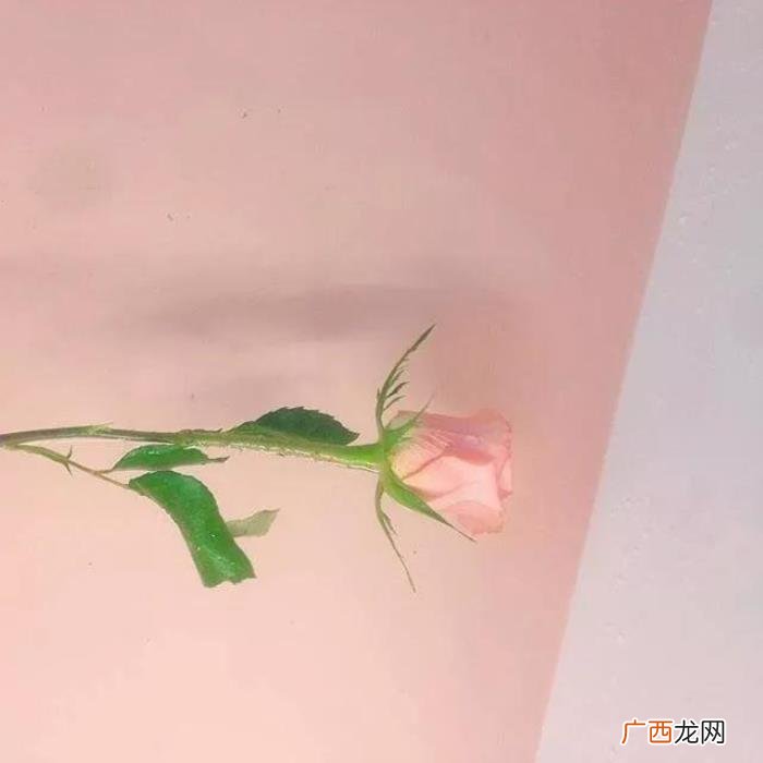 最近很火的个性朋友圈背景图 空间个性图片