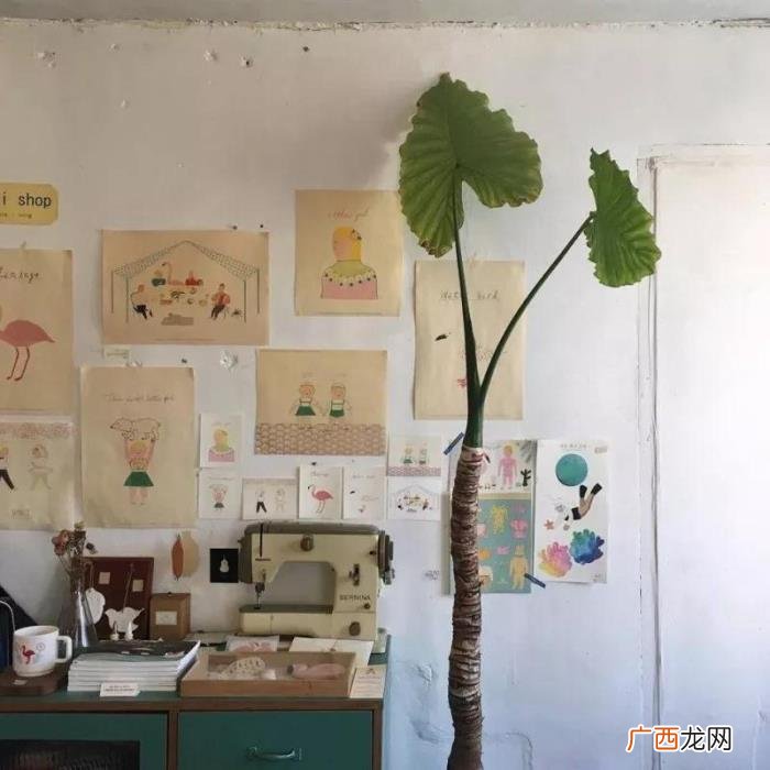 最近很火的个性朋友圈背景图 空间个性图片