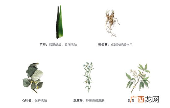 娇韵诗橙水和黄水的区别及哪个好用