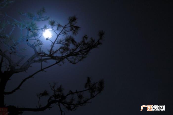 冬夜里最动人的一首思念家乡的诗 思念家乡