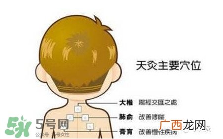 三伏灸灸哪里？三伏灸是每天都灸吗