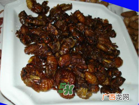 知了猴可以煮着吃吗？知了猴怎么煮？