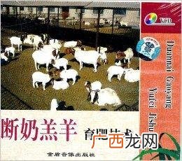 育肥山羊羔怎么育肥最快 羔羊育肥技术视频