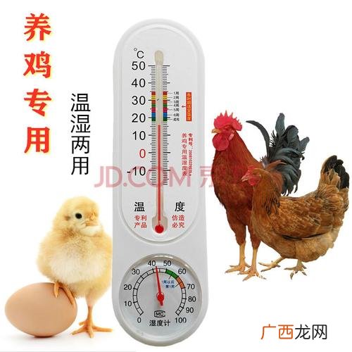 育雏笼价格 育雏技术