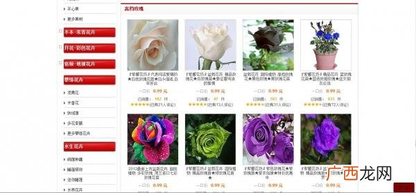 花卉租摆价格报价单 花卉租赁企业网站