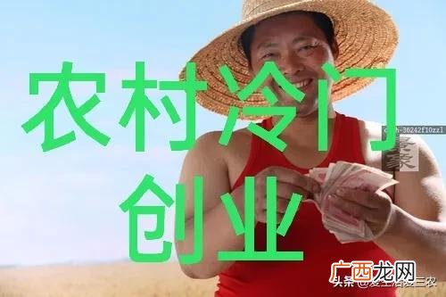 适合农村小本创业项目 有什么好项目创业加盟