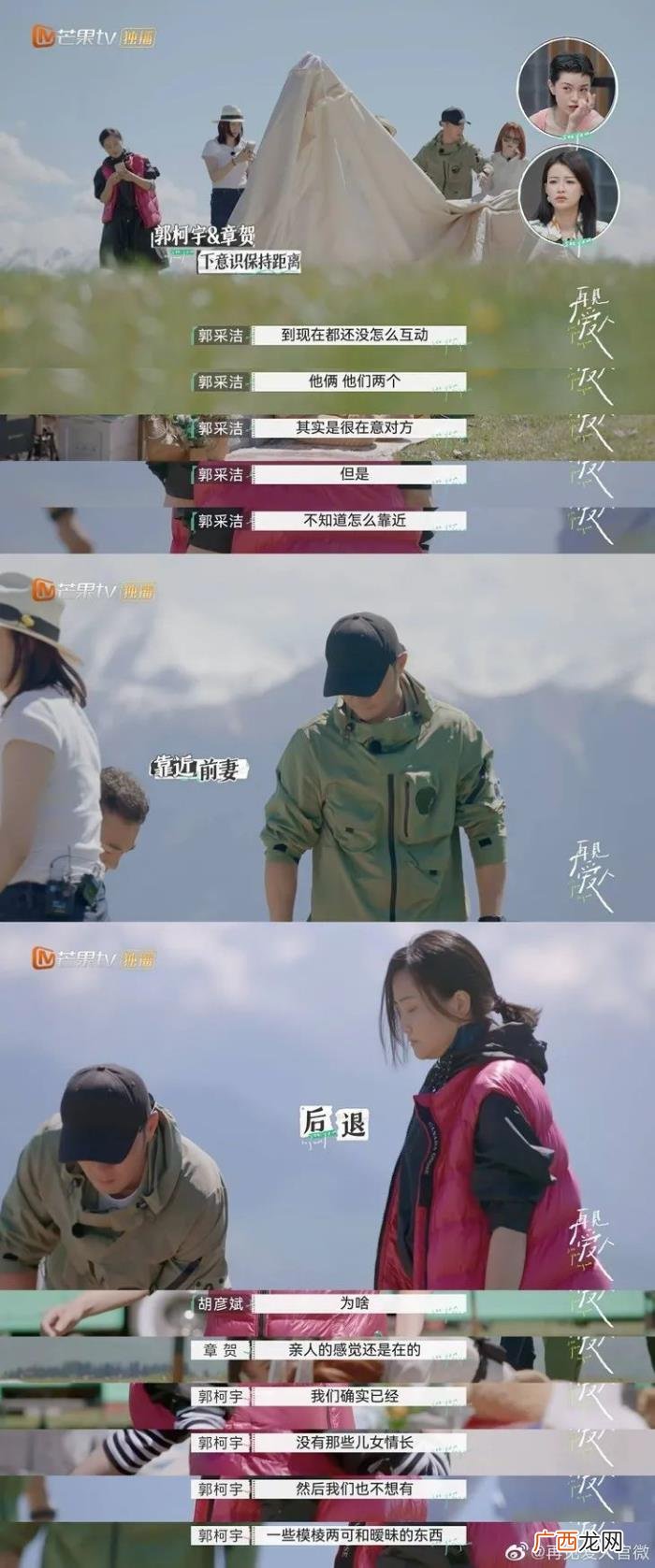 赵丽颖节目图片，赵丽颖都在嗑的离婚综艺