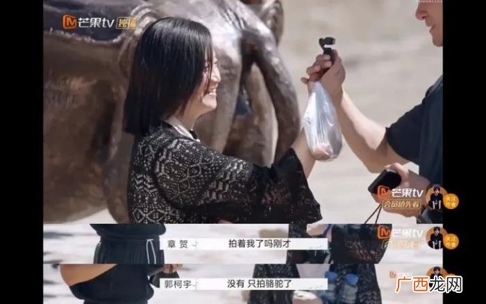 赵丽颖节目图片，赵丽颖都在嗑的离婚综艺