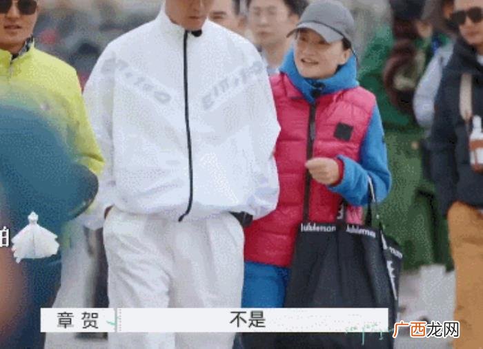 赵丽颖节目图片，赵丽颖都在嗑的离婚综艺