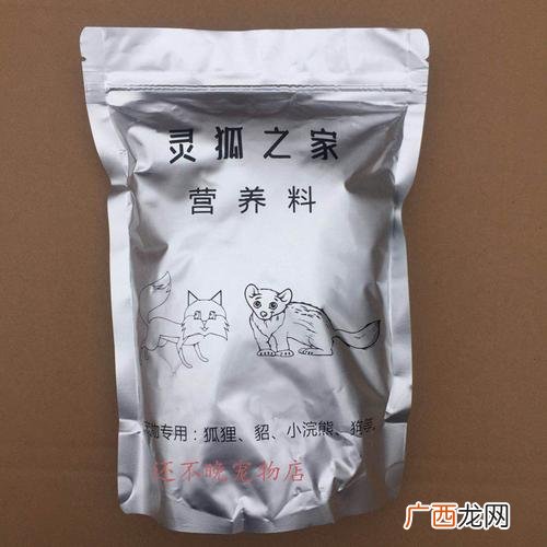 宠物貂好养吗? 水貂的养殖技术