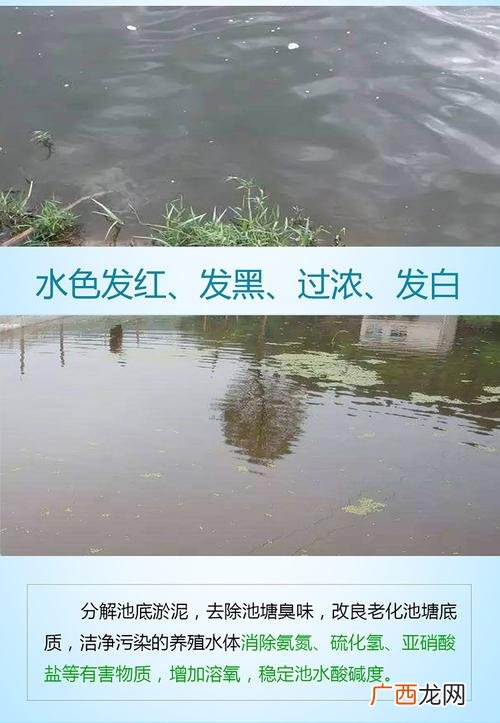 水产养殖用品批发市场 水产养殖用具展