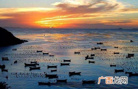 舟山水产公司有几家 舟山海和水产