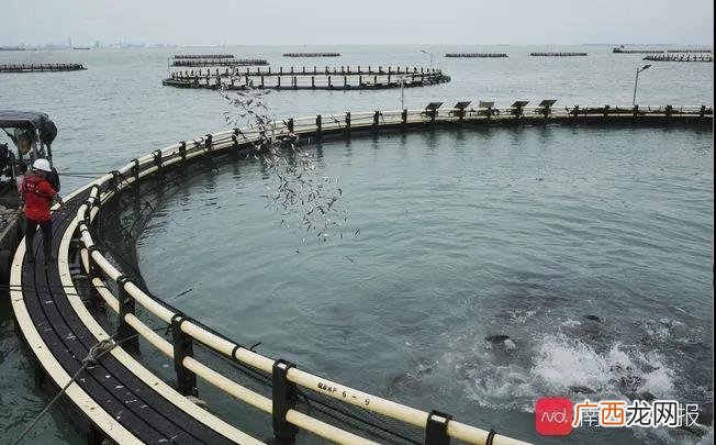 广州海产品批发市场在哪里 广州水产公司在哪里