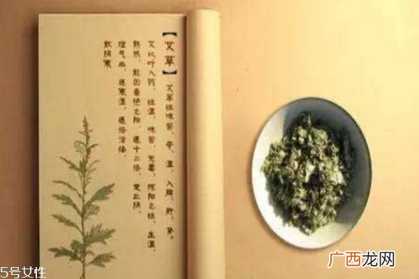 艾草是什么艾草的好处
