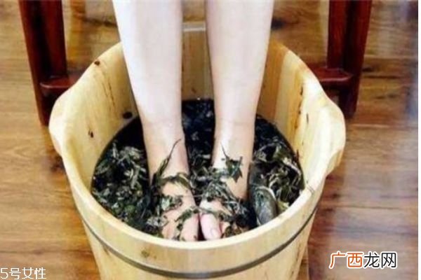 艾草是什么艾草的好处