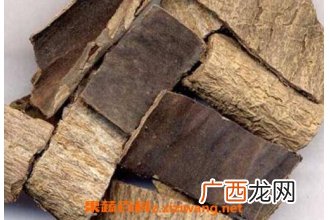 杜仲的功效与作用及药用价值