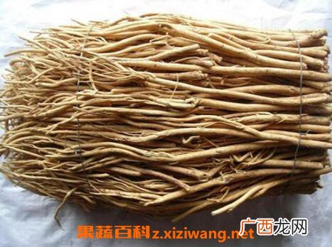 甘草的功效和作用及药用价值