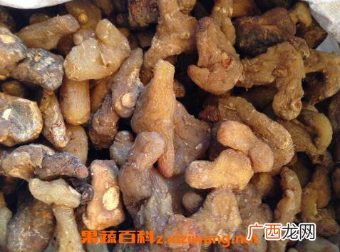 黄精的功效与作用及药用价值