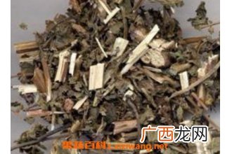 紫苏根煮水有什么功效