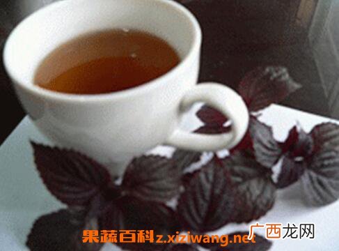 紫苏根煮水有什么功效