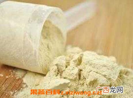 蛋白质粉的功效与作用 蛋白粉的用途